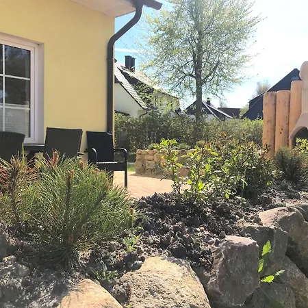 Friesenhus זינקסט